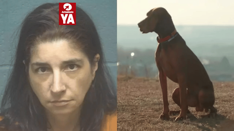 Mujer de Oklahoma arrestada por abuso sexual de un animal y distribución de material obsceno - Imagen